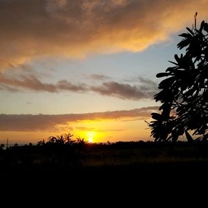 Meet your Posher, Mindy